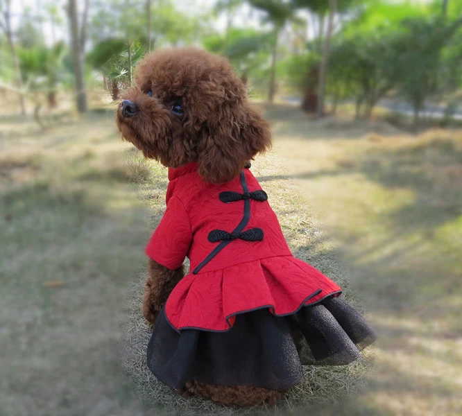 Dog Clothes (1)