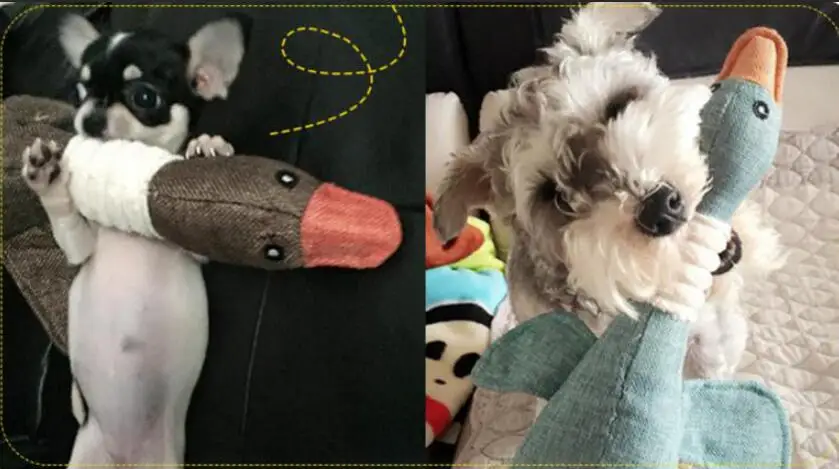 HTB1IxEQbiHrK1Rjy0Flq6AsaFXaQ