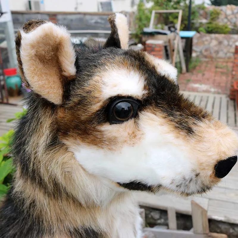 simulation animal wolf plush toy sled dog realistic wolf Doll creative deco for children girl Xmas birthday gift  74cm DY50771 (8)