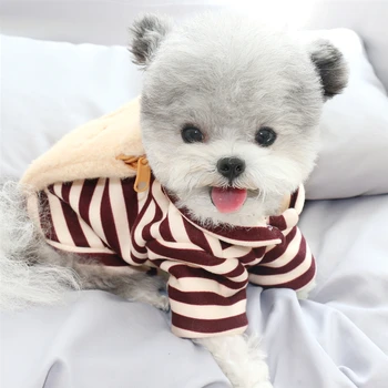 

Winter Dog Clothes Bear Backpack Thicken Pets Outfits Warm Clothes for Small Dogs Coat Jacket Puppy Sweater Dogs Pets Costumes