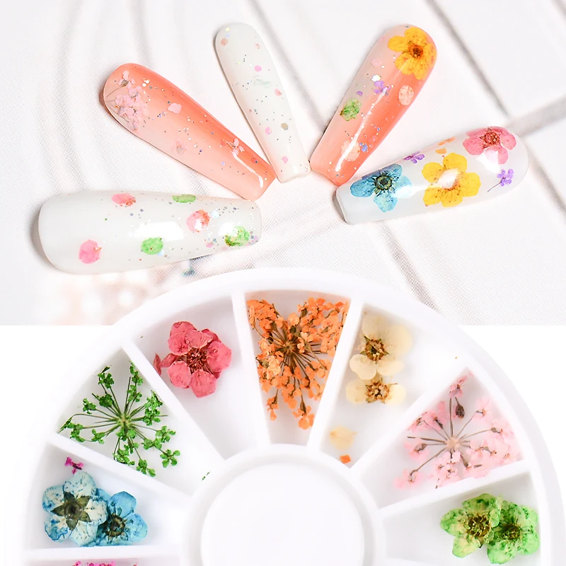 3D Натуральные Сушеные Водные Наклейки для ногтей, настоящие сушеные цветы, лист для маникюра, сделай сам, украшения для ногтей, водяные наклейки