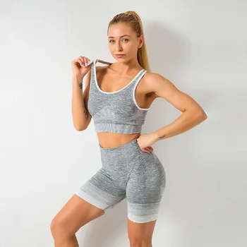 Women Sports Clothing Seamless Yoga Set Long Sleeve Sport Set Women Ombre Legging set High