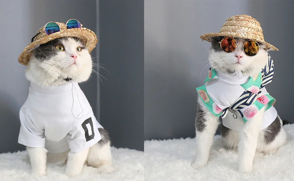Summer Hawaiian Style Pet Dog Drop Small Cap Hat Sunbonnet Straw Photo Ship Sombrero Outdoor Accessories Props