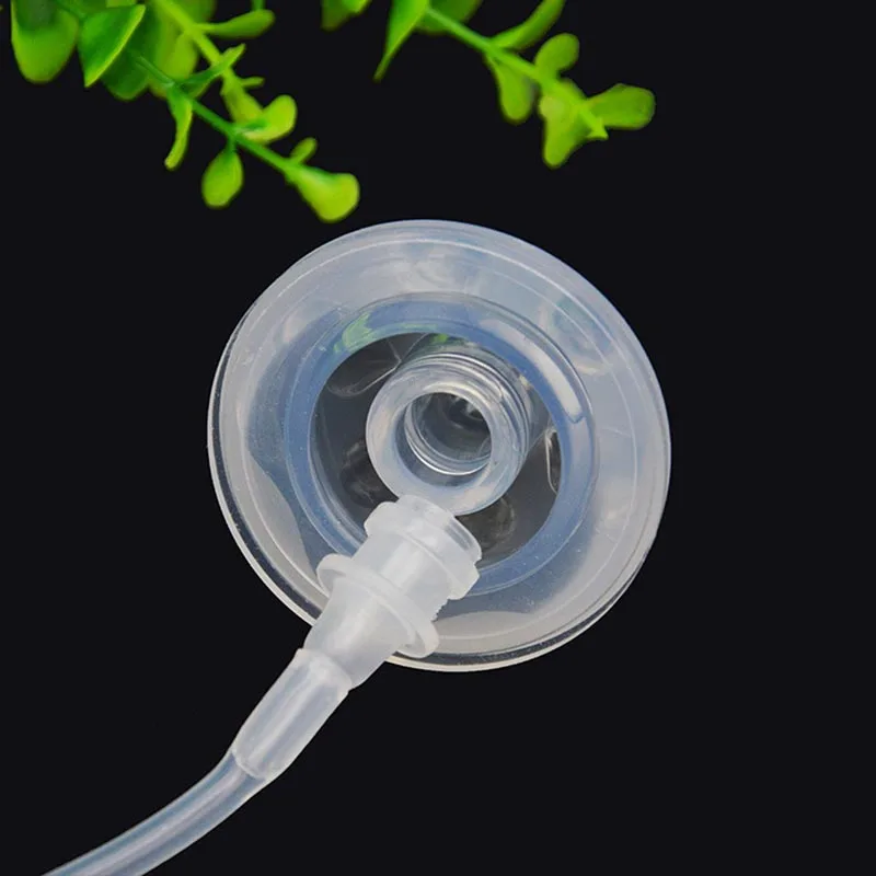 11085334039_731395461