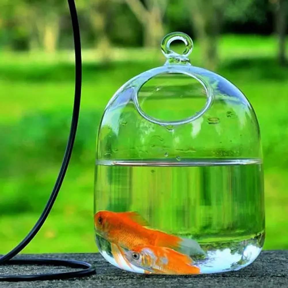 Fishbowl стеклянные вазы воздушные вазы для растений прозрачные Висячие чашка ручной работы рыбка с пузырьками танки подвесные вазы