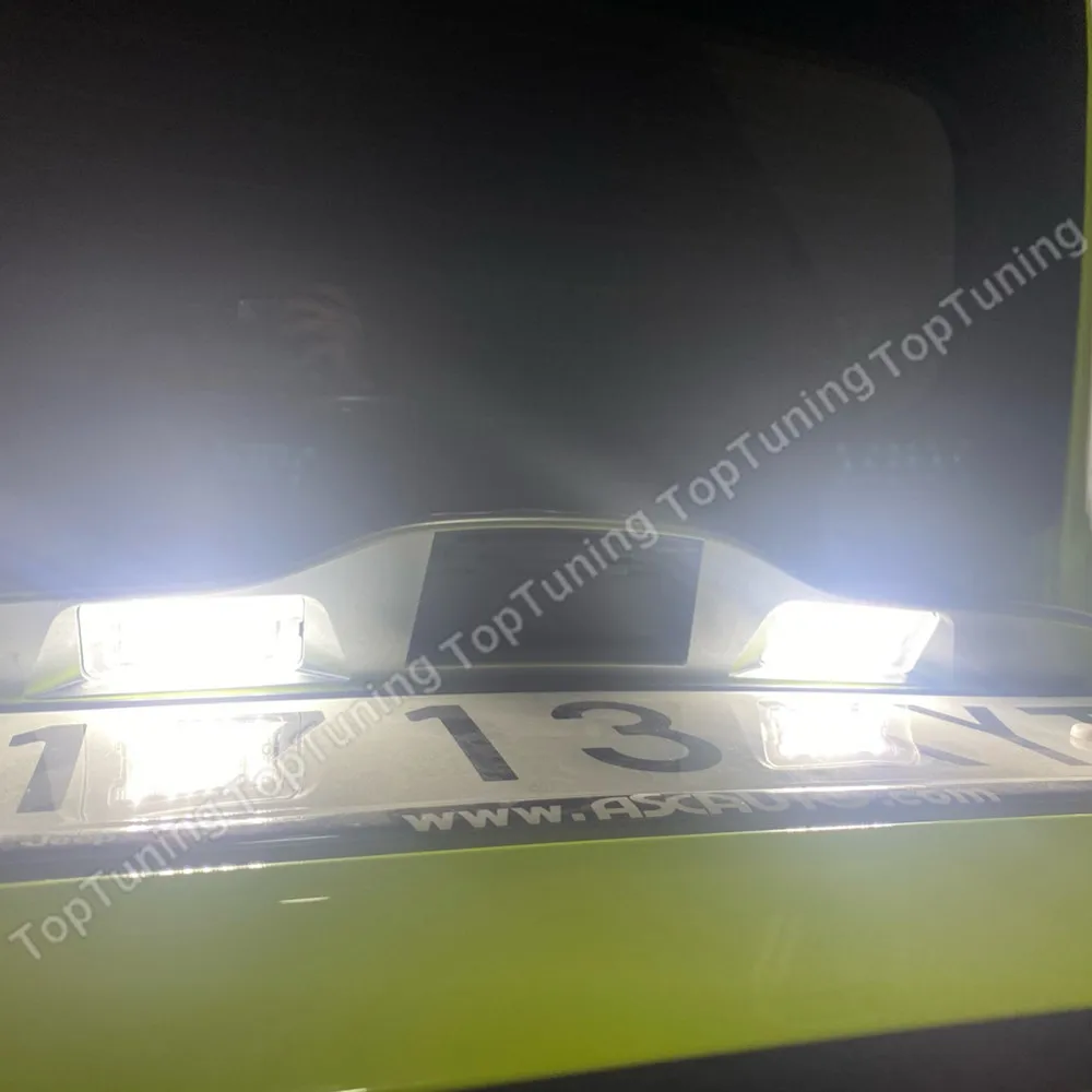 Рисунок 2 - Флейта для номерного знака Fiat