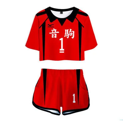 MicroPlush Haikyuu Cosplay Costume Aoba Johsai High School Akaashi Keiji Bokuto Koutarou Oikawa Tooru Two Piece Set Tops And Shorts -Zentai shop online Hdcaeed8cb5194be3aa401c0723f5c299l.jpg