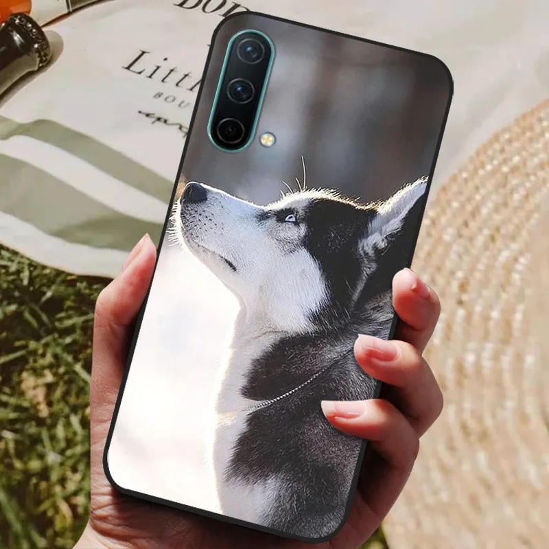 Brush Art OnePlus Nord CE 2 5G Glass Back Cover - Flat 35% Off On OnePlus Nord CE 2 5G Back Cover