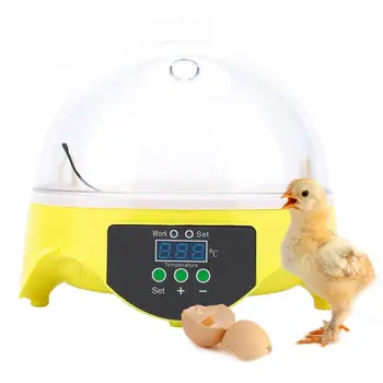 

EU Plug Poultry Bird Chicken Drinker Cup 7Eggs Incubator Temperature Control Digital Automatic Chicken Chick Hatcher Farm Animal