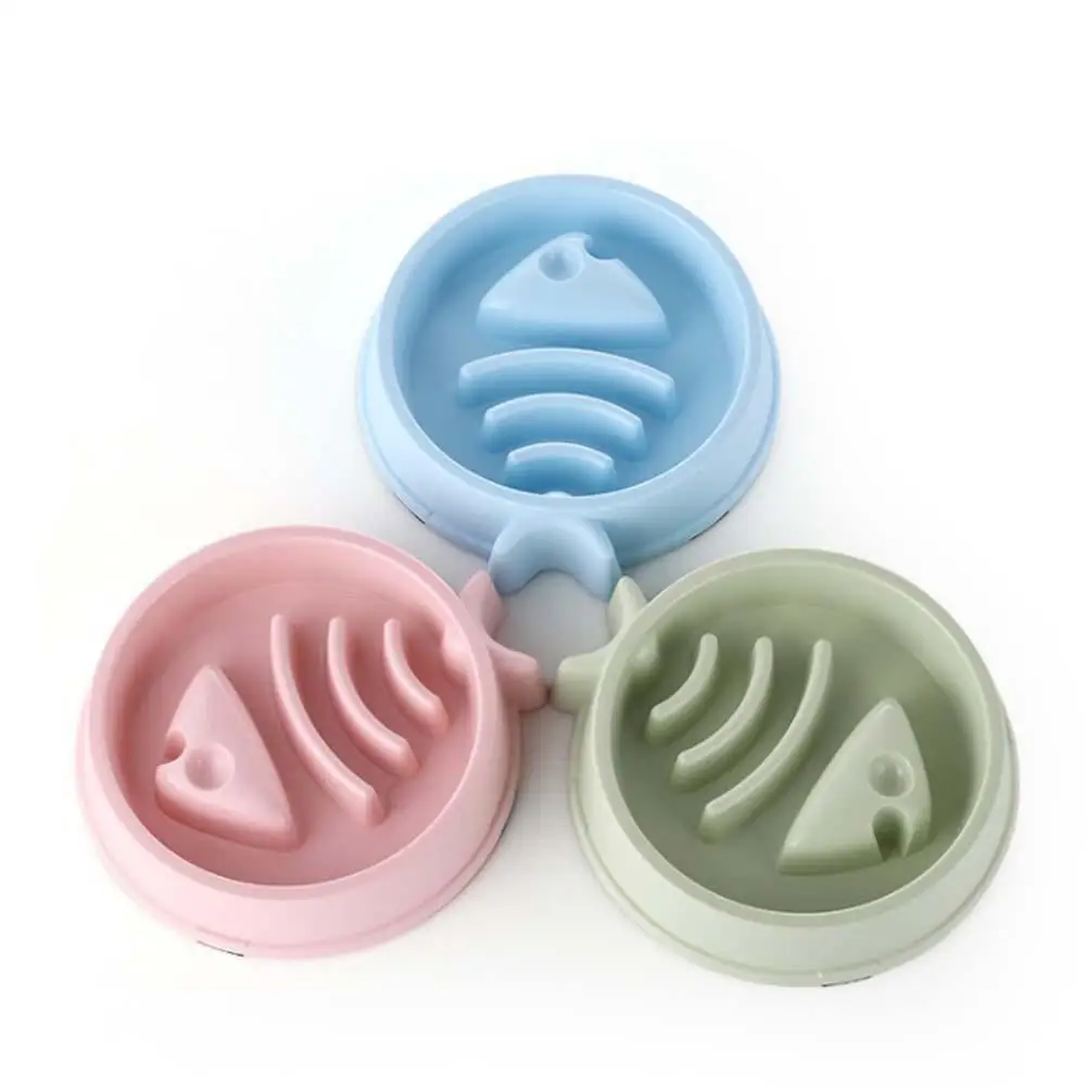 Can Dogs Choke On Fish Bones