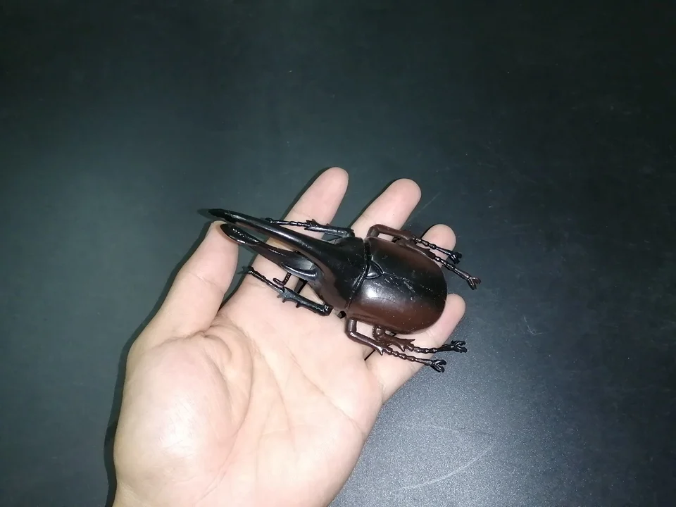 Insect Simulation Animal Toy Kid Gift Tricky Halloween Prop Model
