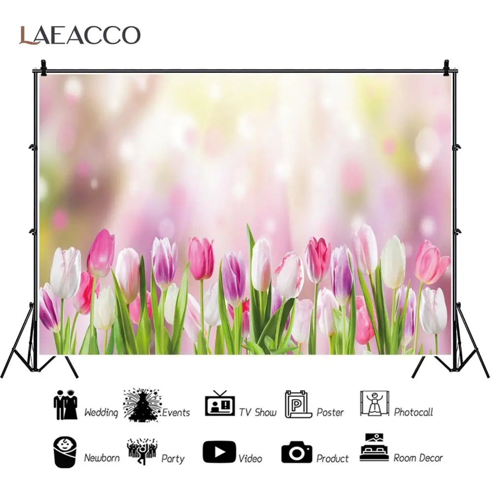 Laeacco-   , ī Ʈ, , ̺ , , Ƽ,   ,  Ʃ