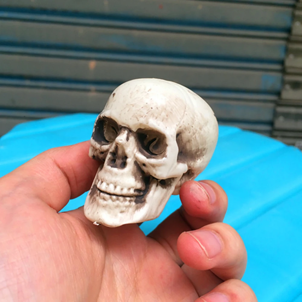 4054682717_1263032356