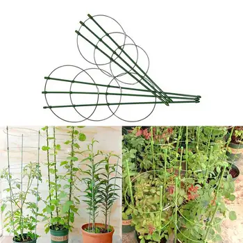 

Durable creative climbing rattan stand 45cm/60cm plastic coated iron plant support frame garden balcony plant flower stand