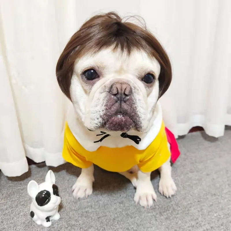 Hot Trend Wig For Dog - Stylish And Fashion