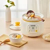 220V 1L Mini Electric Food Stewing Pot Automatic Porridge Dessert Baby Food Slow Stewer Portable Multi Cooker 2