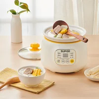 220V 1L Mini Electric Food Stewing Pot Automatic Porridge Dessert Baby Food Slow Stewer Portable Multi Cooker 2