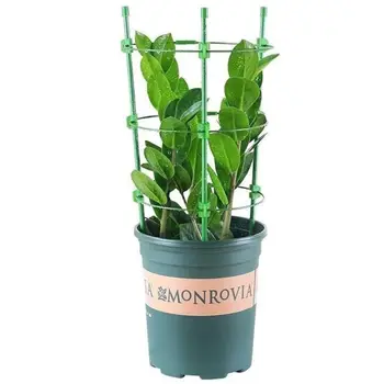

Plastic Coated Steel Tube Flower Pillar Tomato Cucumber Climbing Vine Flower Stand DIY Gardening Plant Fixed Potted Support Cage
