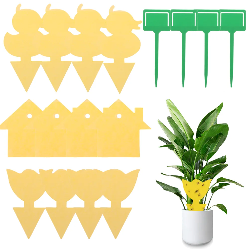 Trampa para moscas de frutas, Mata hongos pegajosos amarillos, Gnat, para interior y exterior, plantas, insectos, moscas blancas, mosquitos, 10 Uds.