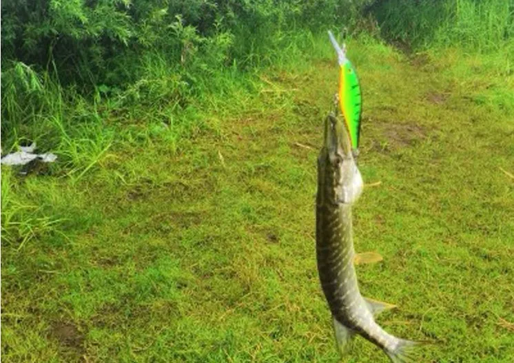 UC截图20191206225217