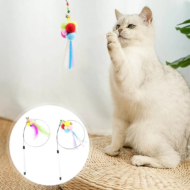 Two Cats Play with a Toy Rod with Feathers for Teasing. Vector