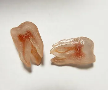

3D Simulation Tooth Replicas Upper Molar A# Model Red 3-Rooted 4-Pulp Canal Bending Endo Files Practise Dentist Student 2 Pieces