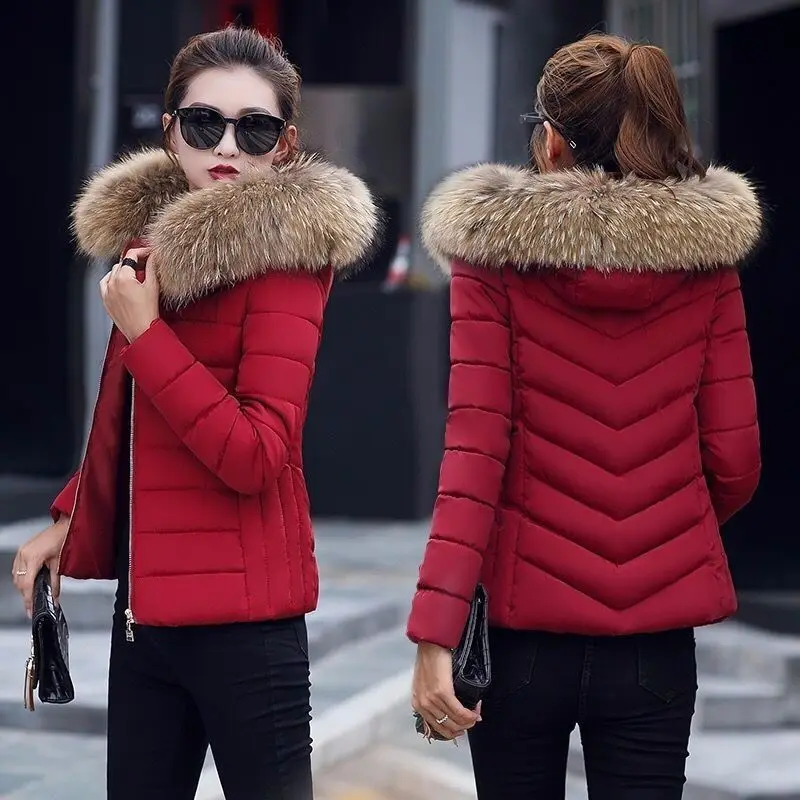 

Down Jacket Women 2019 Winter Short Female Ultra Light Duck Down Hooded Warm Female Down Coat Outwear Villus