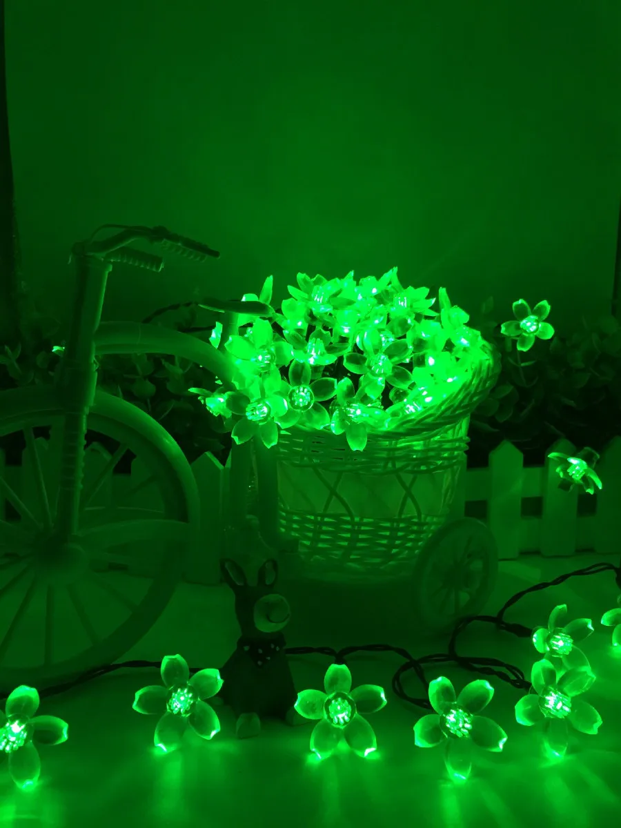 12248484159_220625987 (1)