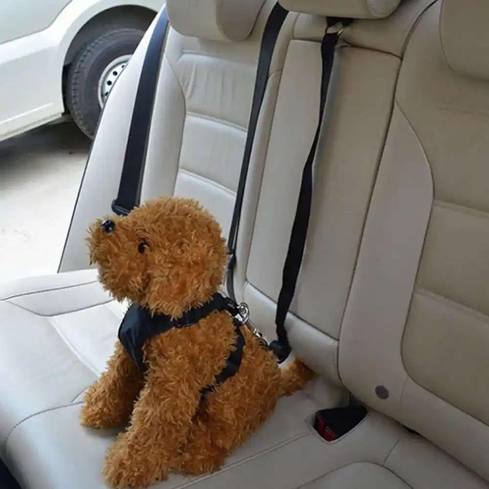dog car seat strap