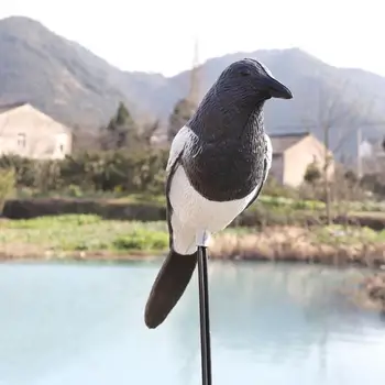 

Outdoor Hunting Bait Garden Decoration Simulation Magpies Realistic Hunting Bait Tools Decorative Hunting Accessories