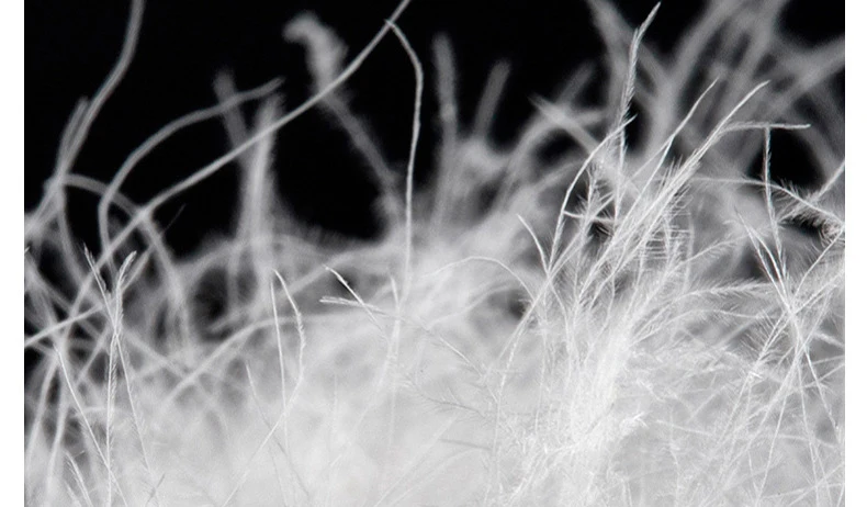 19998417072_773887269