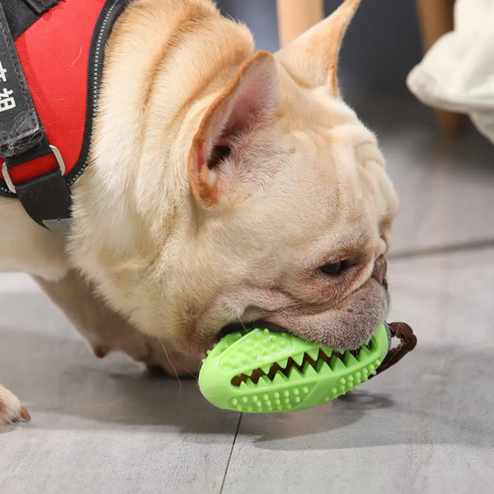 TPR футбол Жевательная молярная игрушка для собак 360 ° Очистка зубов протекающая функция молярная тренировка щенка стоматологический уход интерактивные игрушки для собак