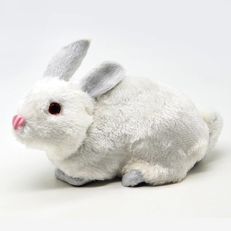 

Rabbit Model Primary School Science Experimental Equipment Students Use Learning Tools Biology Teaching Aids