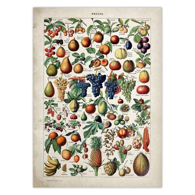 Vintage-Vegetable-Fruit-Mushroom-Poster-Print-Antique-Wall-Art-Print-Botanical-Picture-Science-Poster-Kraft-paper.jpg_.webp_640x640 (2)
