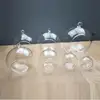 8PCS Transparent Hanging Glass Globe Shape Vase Flower Plant Container Micro Landscape Garden Decoration Pendant 6