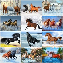 Cuadro HUACAN de animales de caballo DIY pintado a mano, dibujo de arte de pared, pintura acrílica por números, regalo para decoración del hogar(China)