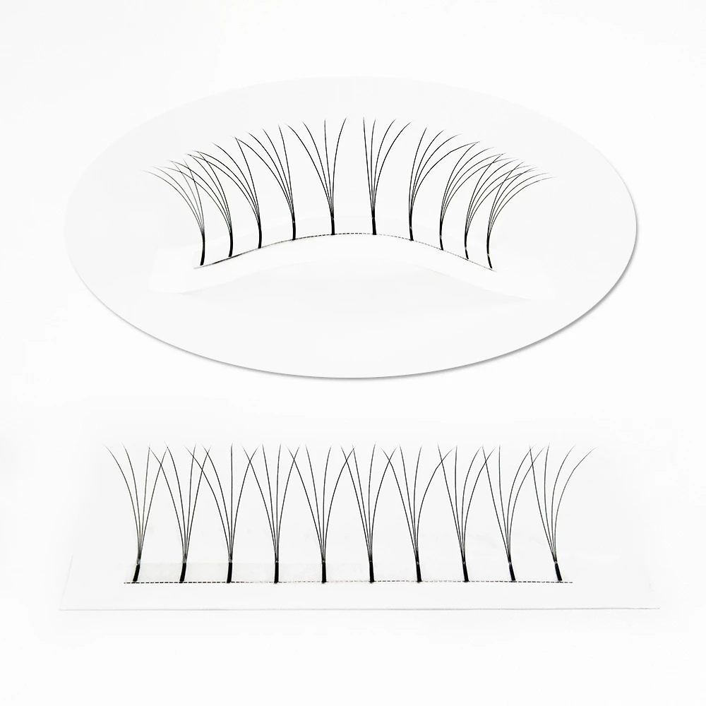 

The most popular 6D 0.07C Auto Flowering Premade fans eyelashes extension