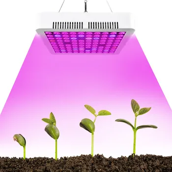 

Fast Grow Indoor LED Grow Light Full Spectrum 300W Phyto Growth Lamp Indoor Phytolamp for Plants Flower Veg Greenhouse Grow Tent