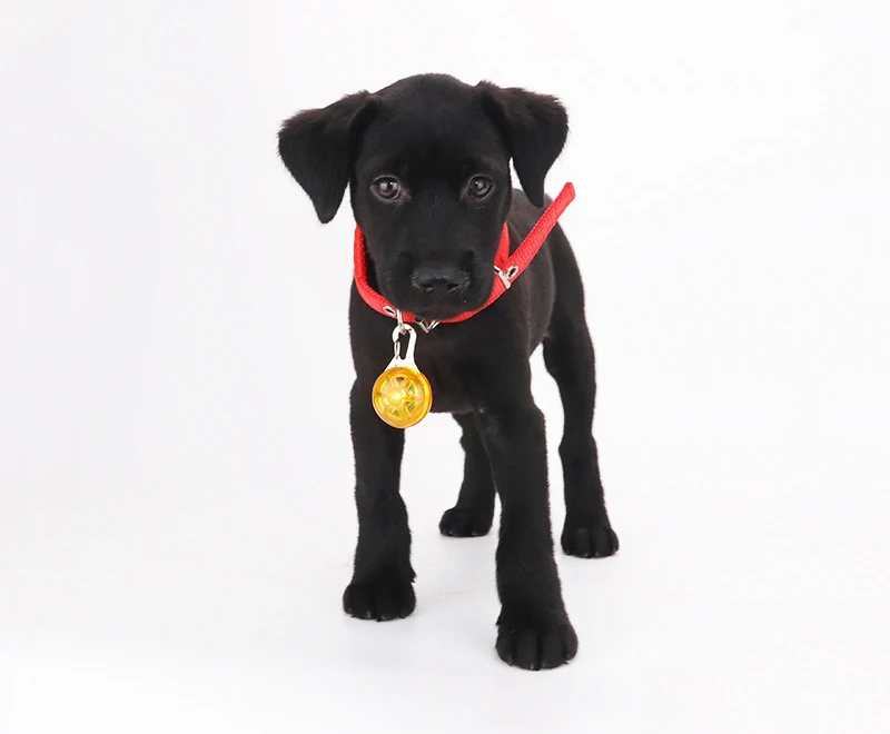 12564640894_536240341