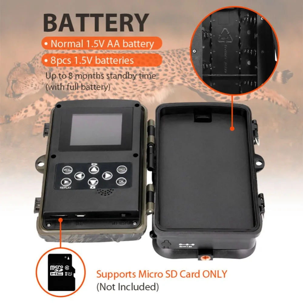 307503_no-logo_307503-3-05-g