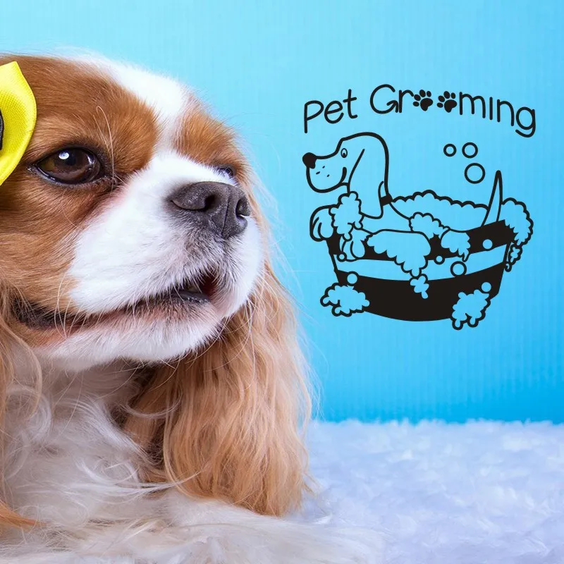 Уход за салонами наклейка для магазина домашних животных плакаты виниловые