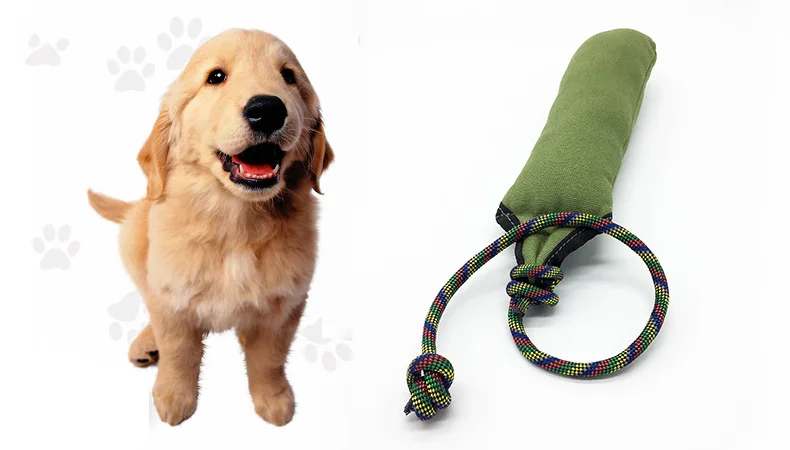 Pet тренировочная клюшка отслеживающая палка кусающая палка Ткань Оксфорд жевательная игрушка собака обучение интерактивный питомец поставки