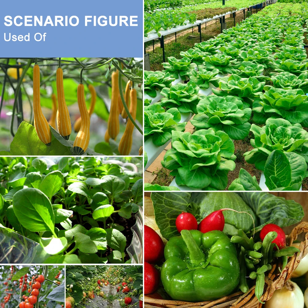 Рисунок 6 - Светодиодная лампа полного спектра