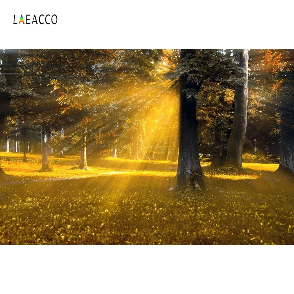 Laeacco светильник боке лес фотографии фоны индивидуальные вечерние Портретные фоны для фотостудии - Цвет: NBK02164