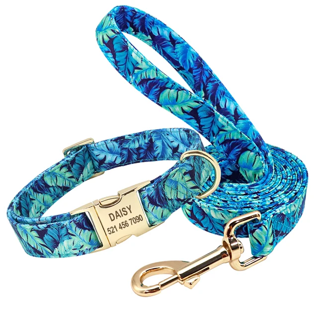 blue-set