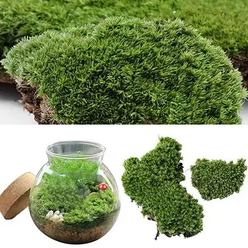 

Home Party Decoration Artificial Green Grass Moss Plant Ornament Miniature for flowerpot decoration