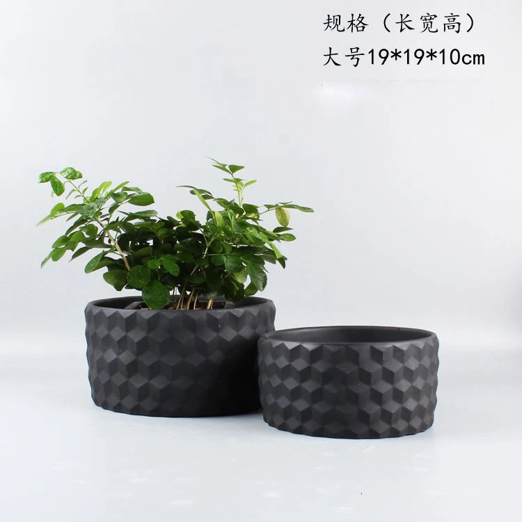 Hydroponics Flowerpot Indoor Lotus Bowl Water Lilies Copper Grass Narcissu Meaty Flowerpot Cement Flowerpot