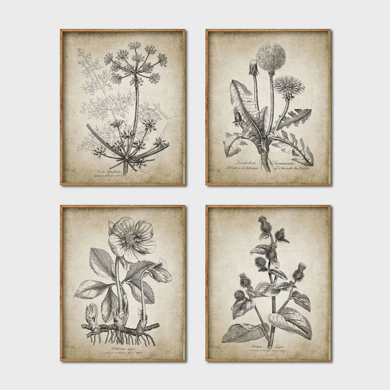 Antique Botanical Posters and Prints Rustic Farmhouse Wall Art Canvas Painting Plants Pictures for Living Room Home Wall Decor