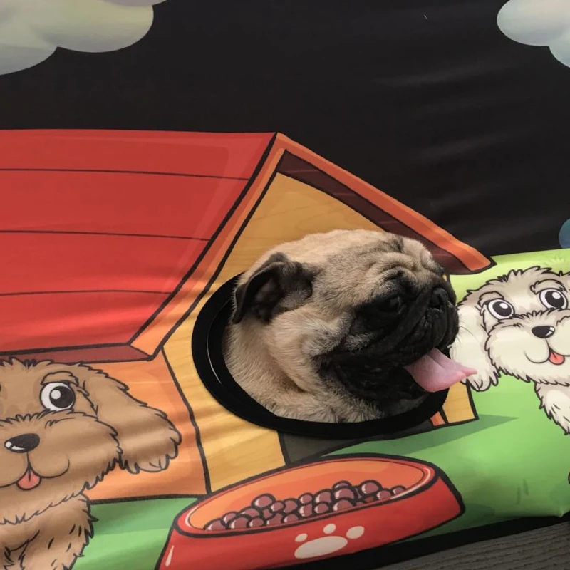 Ограда для питомца, собаки дорожный козырек Авто занавес крышка Pet ворота вентилятор Защита от солнца навесы Висячие окна автомобиля дом