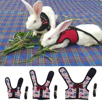 

Outdoor Rabbit Harness Leashes Set Small Pet Vest Cloth Walking Lead